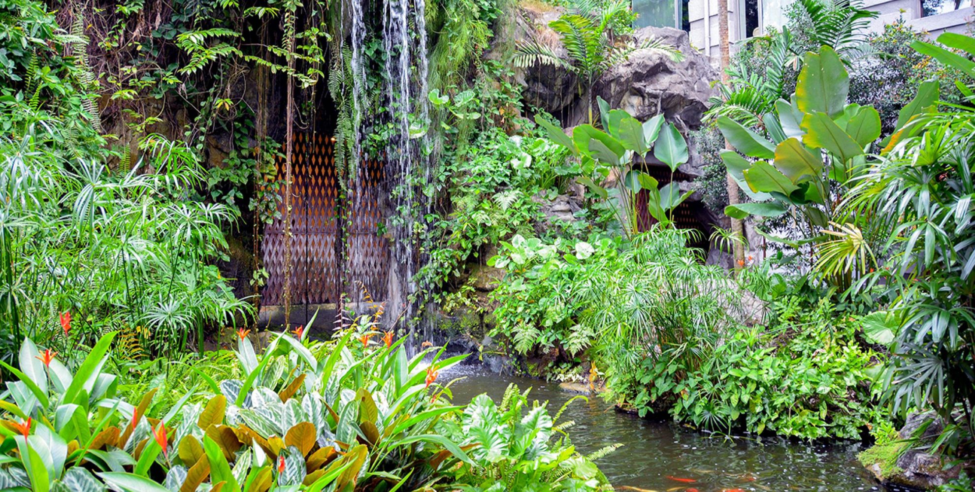 Waterfall